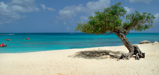 Aruba playa