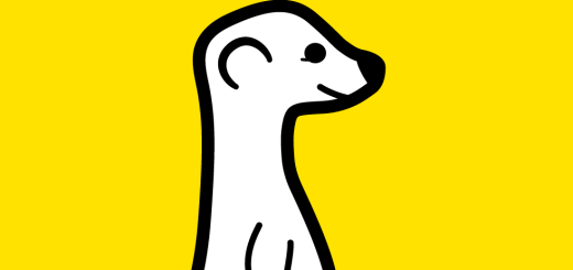 meerkat